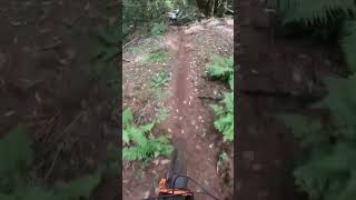 I Think that was a GOOD LINE #shorts #mtb...