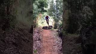 #shorts FAST and SMOOTH #mtb #bike #jump #fast...