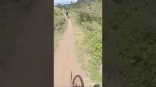 #shorts CRAZY Flow #mtb #mtblife #bike...