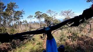 Madeira Island  MTB 'PATRICA'