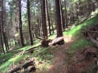 MTB Gisborne - Johnny be good