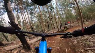 Madeira Island MTB  Looking for the perfect flow