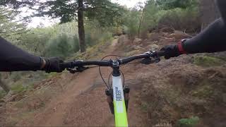Madeira Island MTB Mushrooms & Caboucos