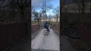 Electric Bunny Hop