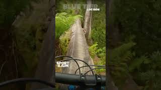 BLUE TIER THRILLER #shorts #viral #logride...