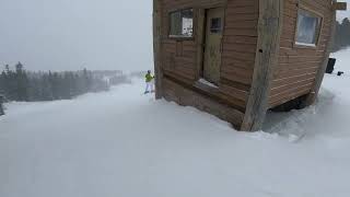 dave murray to bear paw