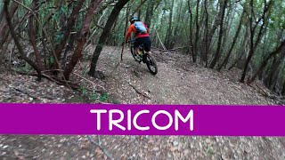 MTB Livorno 11.03.2023 sentieri TERRAZZE - TRICOM