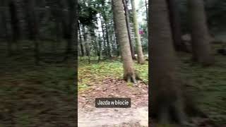 Łożyska tego nie lubią!  #sendit #mud...