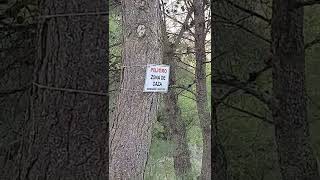 TEMPORADA DE CAZA 