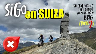  Sigo ruta con DEDO ROTO por SUIZA Cap 2. Brig...