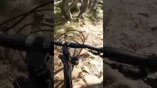 Mtb ski resort #shorts #mtbuller