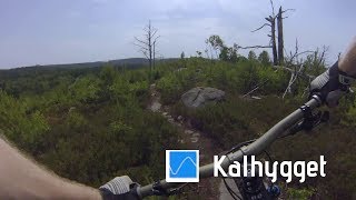 Delsjön - Kalhygget vid västra långvattnet