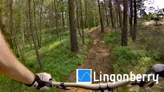 Delsjön - Lingonberry