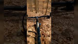 Case Mountain Secret Lines Part 1 #enduro...