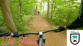 Killington Bike Park, The Flow!