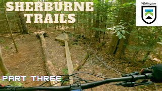 Singletrack in Killington, VT. The Sherburne...