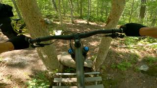 A Taste of Pine Hills MTB