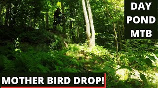 Day Pond Mountain Biking, YOU NEED TO RIDE HERE!