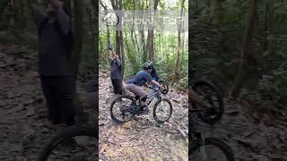 How to Steep in Beautifully