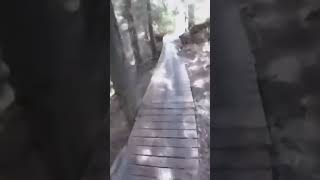 Rain caused this crash #crash #mtb...