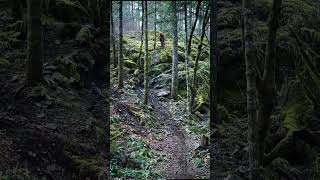 Super Steep and Tech!