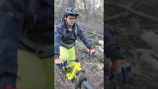Velaux/Freewheel