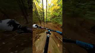 Zooming  Thru the trees on sendero part 2...