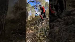 Velaux/Freewheel