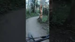Colorado mountain bike adventure!