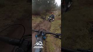 Out exploring with a different eye, an extra...