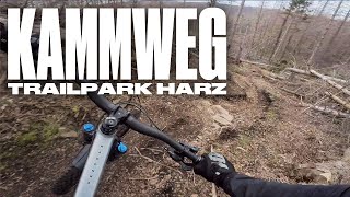 Trailpark Harz | Kammweg | März 2023