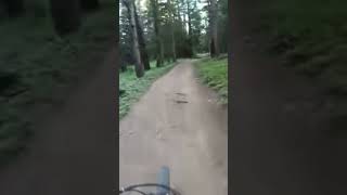 Bakers tank trail Colorado