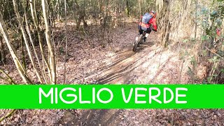 MTB Monte Morello 18.03.2023 sentiero MIGLIO VERDE