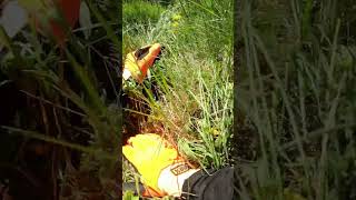 How did he get away with that mtb crash?!...