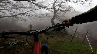GR10 - Albera salvatge 