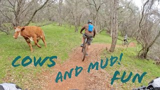 Places 2 MTB: Hidden Falls