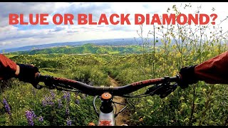 Blue or black diamond? : 'Goat DH' and 'Rabbit...
