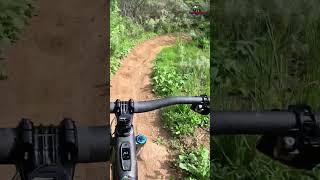 MTB Riding | This Trail Is Not Ready For...