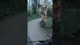 Twisting action!!!