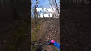 Surfing single track ‍♀️ #escooter