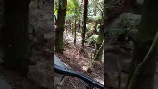Racing & Crashing go together. Rotorua MTB