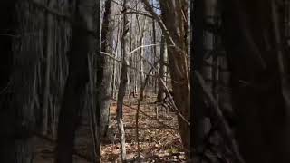 #mtb #wearereallyfast 
