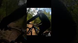 Dh #bikeshorts #mtb #mountainbike #mtbtrail...