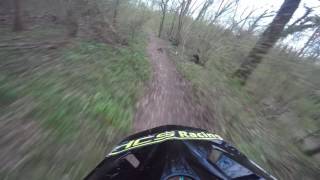 Bietigheimer Forst Flowtrail
