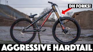 AGGRESSIVE HARDTAIL VS THE BIKE PARK!!