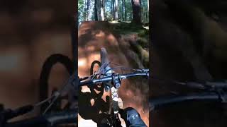 Lucky Crash! #mtb #mountainbike #fail