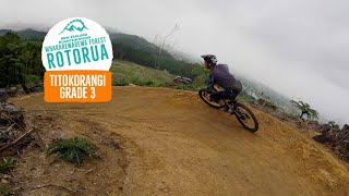 Adaptive, family, and beginner friendly -...