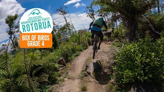 Is this the best exit trail in NZ? Box of...