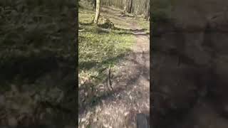 Pőrös hegy alatt Tavasz!