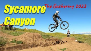 New Trail Sycamore Canyon Mountain Biking |...
